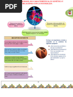 cuerpo humano 1ro sec biologia