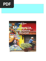 Get Lonely Planet Malaysia Singapore Brunei Lonely Planet PDF ebook with Full Chapters Now