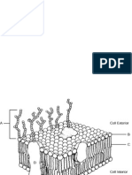 Anatomy Chapter 3