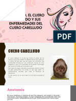 EL CABELLO, EL CUERO CABELLUDO