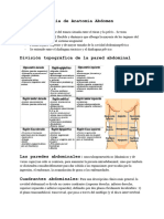 Guia de Anatomía Abdomen