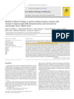 Blueberry-induced changes in spatial working memory correlate with changes in hippocampal CREB phosphorylation and brain-derived neurotrophic factor (BDNF) levels