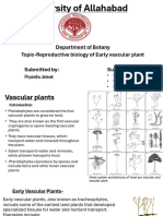 Pteridophyta.ppt