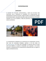 CONTAMINACION AMBIENTAL.docx