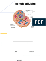 Chap3_Le_noyau_interphasique_et_cycle_cellulaire