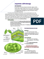 Ecosystem Life Energy Advanced Notes