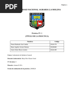 Informe de Quimica (1)