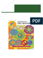 Instant download Essential Cell Biology Alberts 3rd Edition Test Bank pdf all chapter