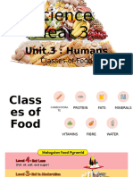 Science Year 3 Classes of Food