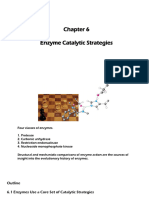 Chapter6-Catalytic Strategies