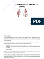 PORTAFOLIO DE EVIDENCIAS PRÁCTICAS (MMSS) (2)