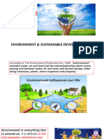 Environment & Sustainable Development