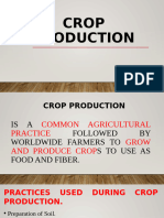 Crop-production Ppt (1)