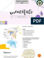 Diencéfalo(1)