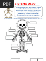 El-Sistema-Óseo-para-Tercer-Grado-de-Primaria