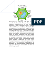 PLANT CELL