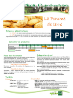 MA3 Fiche Itk Pommes de Terre