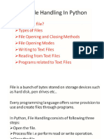 File Handling (1)