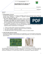 1º AÑO EVALUACION DIAGNOSTICA CYT