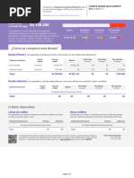 informe_deudas_15486071-1