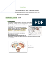 1. Biomedicas TDM  (1)