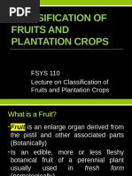 FSYS-110-CLASSIFICATION-OF-FRUITS-AND-PLANTATION-CROPS