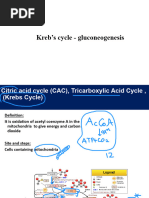 Bio final 2