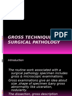 Clinical Pathology