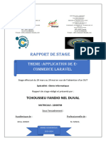 RAPPORT STAGE DUT