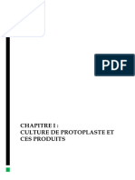 Chapitre 1 m2 Biotech Vegetale Protoplastes