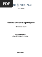 electromag_carminati_2020