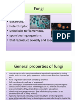 Fungi PPt