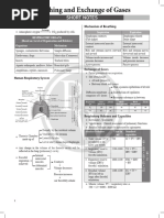 Breathing and Exchange of Gases _ Short Notes __ Fighter NEET 2025