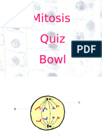 mitosis_pp_quiz_2