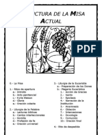 Estructuradelamisaactual