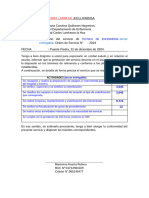 Informe   DICIEMBRE_2024 MAXI PAGO (2)