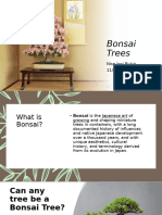 Bonsai