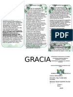 Trabajo Triptico 1