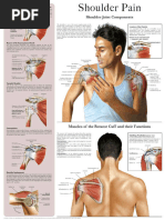 Shoulder Pain e-chart Quick reference guide (HC-HealthComm)