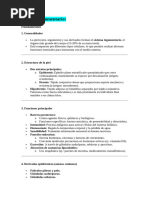 RESUMO-Sistema Tegumentario FINAL