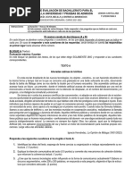 PDF Documento