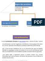 chapitre-2-protozoaires-power-point (1)