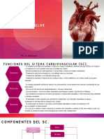 B4--Sistema Cardiovascular Circulatorio 2023