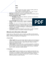 Documento (11)