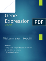 L7-2 Gene Expression