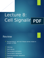 L8 Cell Signaling