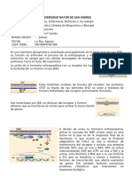 GRUPO 3 - TAREA 8 personal