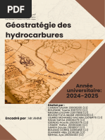 Géostratégie des hydrocarbures_Rapport