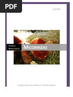 Micorrizas