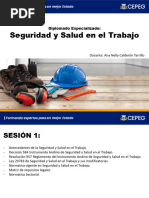 SESION 1 SEGURIDAD Y SALUD EN EL TRABAJO